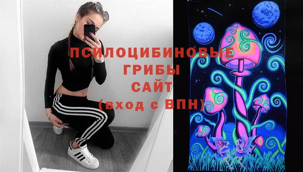 гидра Белокуриха