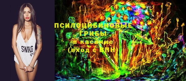 гидра Белокуриха