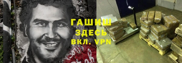 spice Богородицк