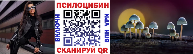 Псилоцибиновые грибы Psilocybe Купить Ликино-Дулёво